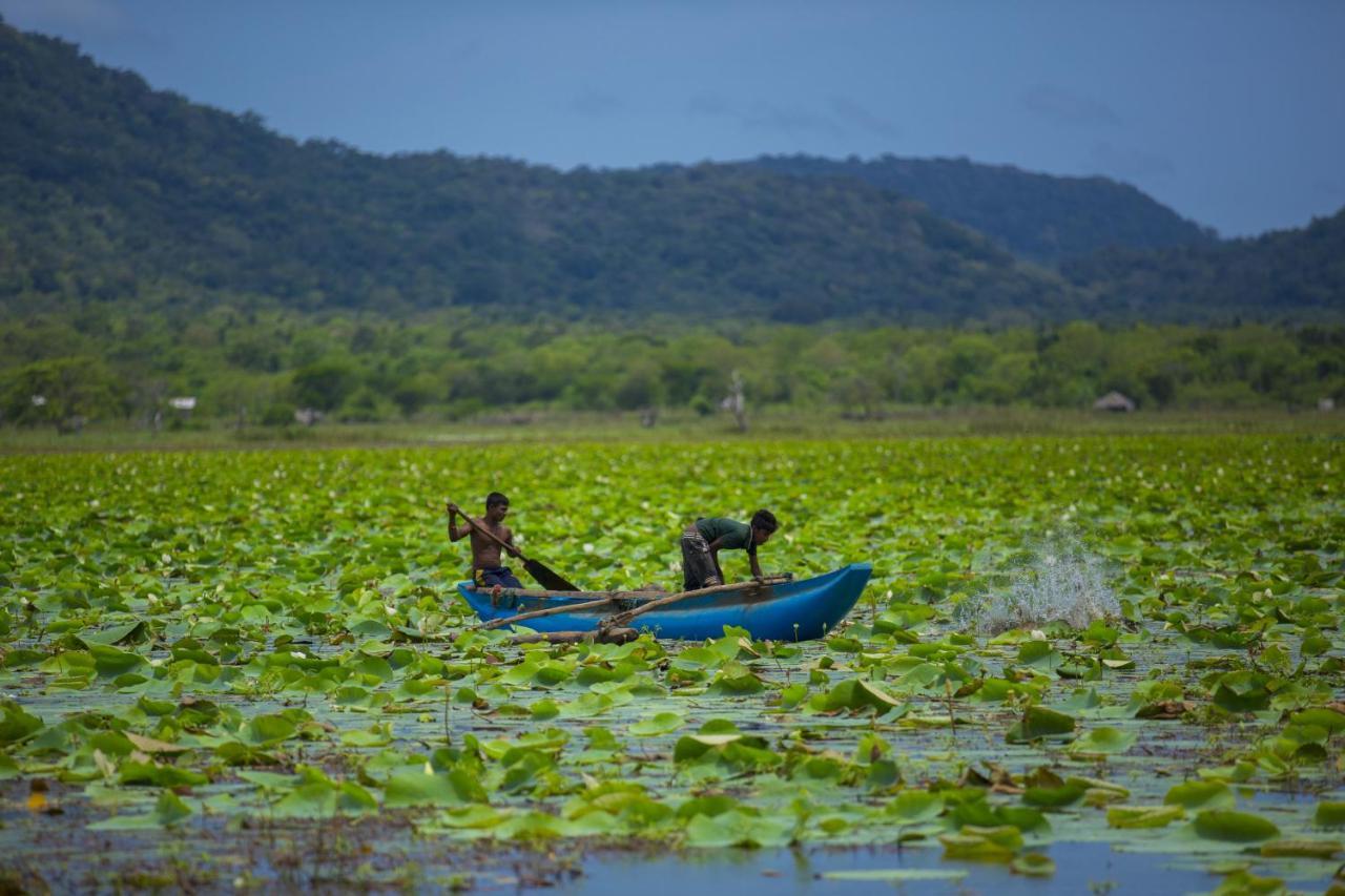 Grand Tamarind Lake Kataragama Esterno foto